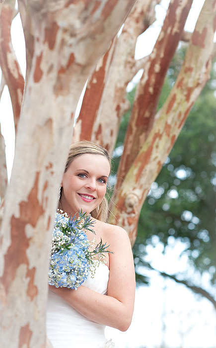 The portrait of the bride behind the tree